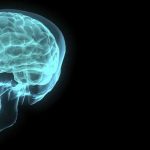 mindfulness employment law mental health