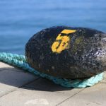 five things we learned in employment law this week