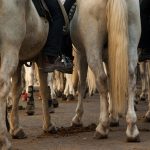 Malingerers at work, how to manage sickness with employees