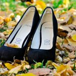 five-things-learnt-employment-law