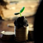 money-549161_1280