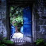 settlement agreement senior executive