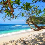 fives things learnt employment law