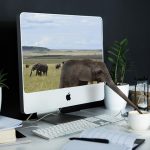 data protection officer